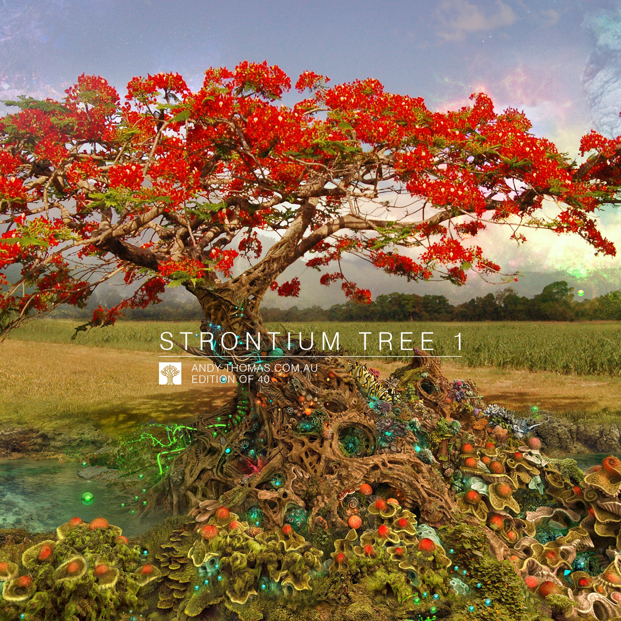 Strontium Tree Part 1
