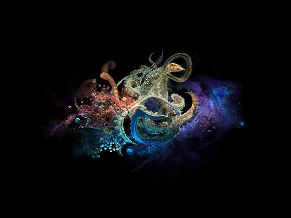 Octopus Abstract